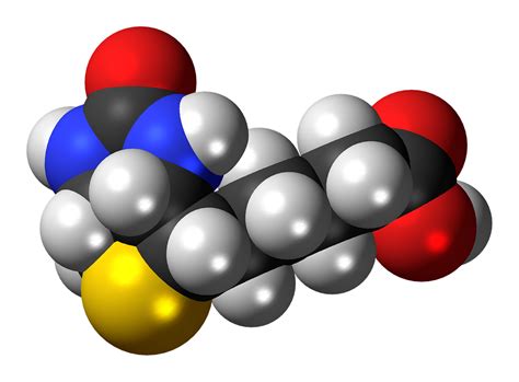 生物維生素的奧秘！你知道它的多重功能嗎？